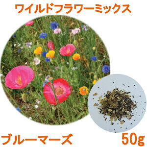 種 ポピーの人気商品 通販 価格比較 価格 Com 種 ポピーの人気商品 通販 価格比較 価格 Com