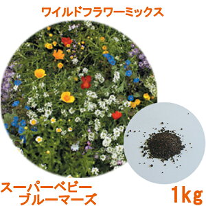 ネモフィラ ガーデニングの人気商品 通販 価格比較 価格 Com