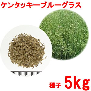 苗 芝生 西洋芝の人気商品 通販 価格比較 価格 Com