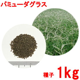 楽天市場 芝生 種 暖地の通販