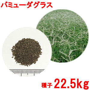 苗 芝生 西洋芝の人気商品 通販 価格比較 価格 Com