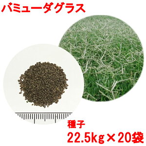 芝生 西洋芝の通販 価格比較 価格 Com