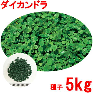 種 1kg クローバーの人気商品 通販 価格比較 価格 Com 種 1kg クローバーの人気商品 通販 価格比較 価格 Com