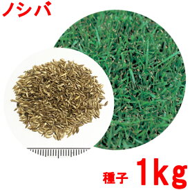 楽天市場 芝生 種 ノシバの通販