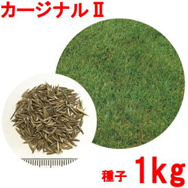 楽天市場 日陰 に 強い 芝生の通販