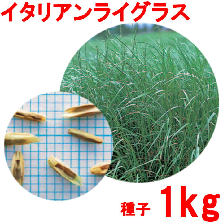 1683円 【51%OFF!】 手まき種子 センチピードグラス配合 2kg 10平米分