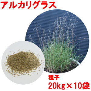 芝生 種の人気商品 通販 価格比較 価格 Com