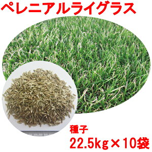 種 西洋芝の人気商品 通販 価格比較 価格 Com