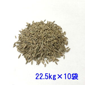 q g[tFXN _Ci}CgG-LS 22.5kg×10