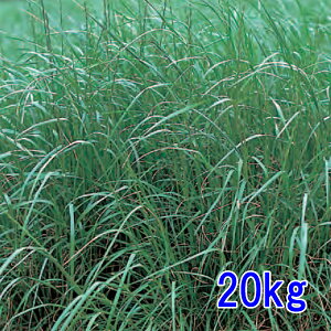 q C^ACOX 20kg