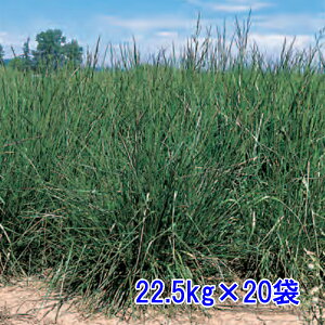 q g[tFXN 22.5kg×20