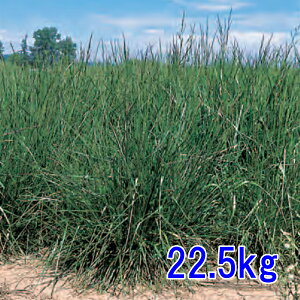 q g[tFXN 22.5kg