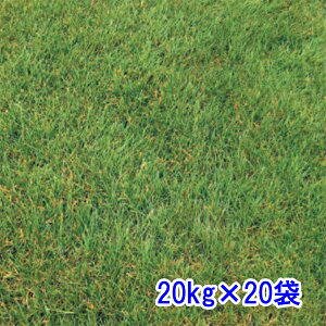 q N[sObhtFXN J[WiII 20kg×20