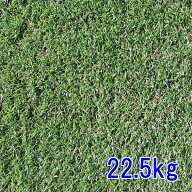種子 ペレニアルライグラス レグゼット 22.5kg