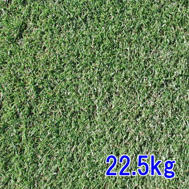 種子 ペレニアルライグラス レグゼット 22.5kg