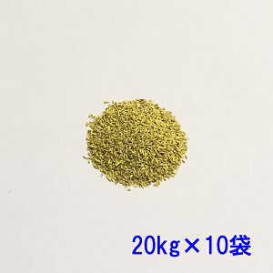 R[gq N[sOxgOX V[N 20kg×10