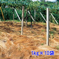 種子 オオナギナタガヤ 10kg