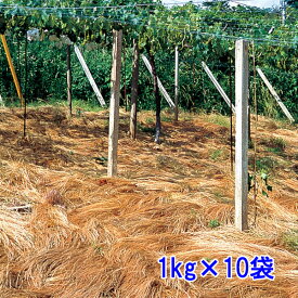 種子 オオナギナタガヤ 10kg