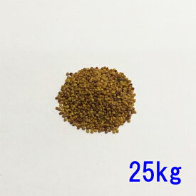 種子 シロクローバ 25kg 緑化緑肥用