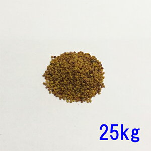 q VN[o 25kg ΉΔp