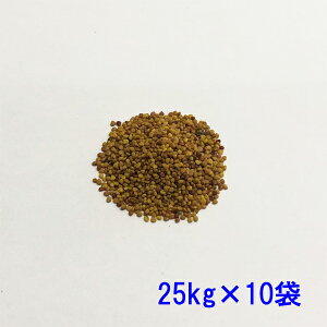 q VN[o 250kg[25kg×10] qΉΔp