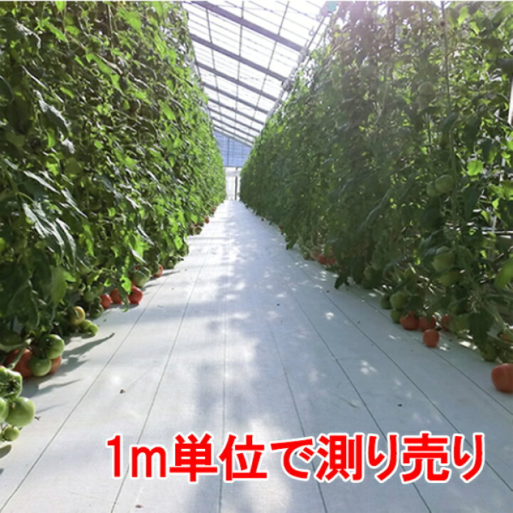楽天市場】防草シート ルンルンシート 白ピカ 測り売り 小泉製麻 