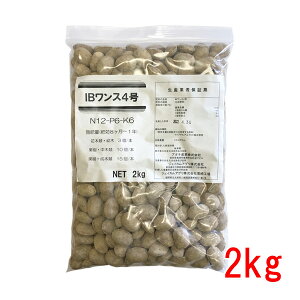 ɌIB`b\엿 IBX4 2kg