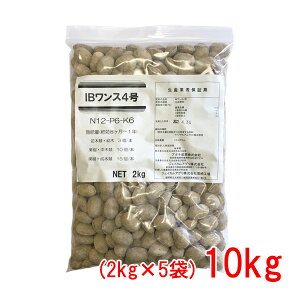 ɌIB`b\엿 IBX4 10kg(2kg×5)