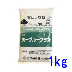 ��q �P���^�b�L�[�u���[�O���X �k�[�u���[�v���X 1kg