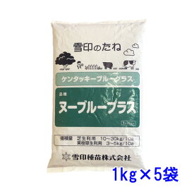 種子 ケンタッキーブルーグラス ヌーブループラス 5kg