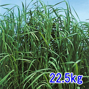q `V[ 22.5kg