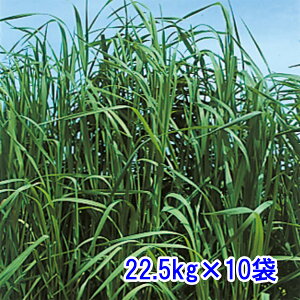 q `V[ 22.5kg×10