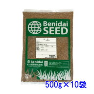 種子 シロクローバ 5kg 緑化緑肥用