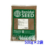 種子 シロクローバ 1kg 緑化緑肥用