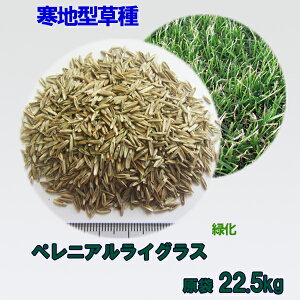 種 西洋芝の人気商品 通販 価格比較 価格 Com 種 西洋芝の人気商品 通販 価格比較 価格 Com