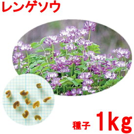 楽天市場 クローバー 種 1kgの通販