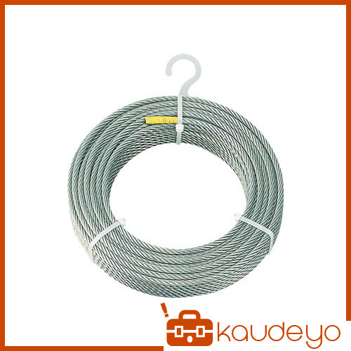ＴＲＵＳＣＯ ステンレスワイヤロープ Φ２．０ｍｍＸ２００ｍ CWS2S200 3100のサムネイル