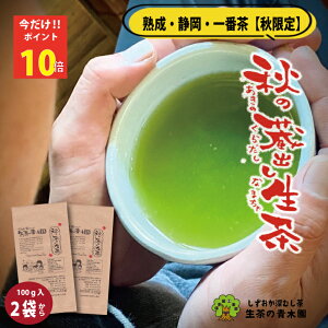 _|Cg10{^ ZoΒ Β t [ t { É ƒp Ɨǂ 100g 2{瑗  [ނ Ԓ Z  [ނ ̂ł