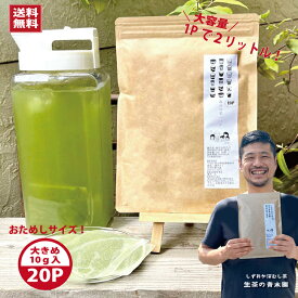 おためしサイズ 水出し緑茶 水出し茶 緑茶 2L用 大きめ ティーバッグ 10g×20p 水出し 日本茶 冷茶 静岡茶 冷たい緑茶 お茶パック ティーパック 業務用 水だし茶 深蒸し茶 水出し煎茶 お茶パック 水筒