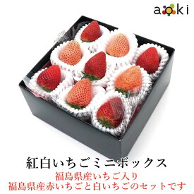 【12月中旬より発送】紅白いちごミニボックス 福島県産いちご入り[白いちご　福島県産 いちご]RC イチゴ 苺フルーツギフト専門店青木フルーツ 果物詰め合わせ フルーツギフト お誕生日 プレゼント 御祝 内祝 合格祝 入学祝