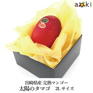 �{�茧�Y���n�}���S�[�@���z�̃^�}�S�@2L�T�C�Y[���z�̃^�}�S�@2L�T�C�Y]RC ������ �ʕ��l�ߍ��킹 �a���� �v���[���g ��j ���j ���� �䌩�� ���� ���C�j ���j�� �������� ���蕨 �������� 