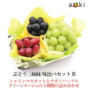 ԂǂOo ׃Zbg B AILt[c [NC[[W VC}XJbg iKmp[v]RC  ʕlߍ킹 a v[g j j  䌩  Cj j