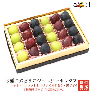 3̂Ԃǂ̃WG[{bNXAILt[c[ߍԂǂ ߐԂԂǂ VC}XJbg]RC  ʕ a v[g j j  䌩 Cj 䋟 lΉ 