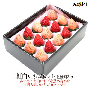 y12{蔭zgZbg i12`20j ϔ 200gO[g]RC C`S   ʕlߍ킹 Ε Ε ~Mtg a v[g j j wj  䌩