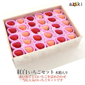 【12月上旬より発送】紅白いちごセット 木箱入 350g前後[紅白いちご]RC イチゴ 苺 お歳暮 御歳暮 冬ギフト 送料込 果物詰め合わせ 誕生日 プレゼント 御祝 内祝 入学祝 結婚 御見舞 快気祝 くだもの 旬の果物 プレゼント 引越し祝 御供 クリスマス 熨斗対応 のし対応