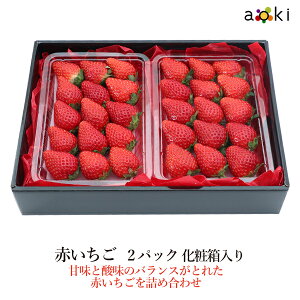 y11{蔭zԂ 270gO×2pbN[]RC C`S  Ε Ε ~Mtg  ʕlߍ킹 a v[g j j wj  䌩 Cj  {̉