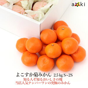 y12{蔭z悱e݂ 2.5kg S`2STCY[悱e݂@S`2STCY]RT Ε Ε ~Mtg  ʕlߍ킹 a v[g j j wj  䌩 