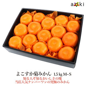 y12{蔭z悱e݂ 1.5kg i15`18j[悱e݂]RT Ε Ε ~Mtg  ʕlߍ킹 a v[g j j wj  䌩 Cj 