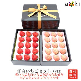 【当日発送可】紅白いちごセット（2段）[いちご 白いちご]RC イチゴ 苺 送料込 果物詰め合わせ 　ひな祭り　お歳暮 御歳暮 冬ギフト 誕生日 プレゼント 御祝 内祝 入学祝 結婚 御見舞 快気祝 くだもの 旬の果物 プレゼント 引越し祝 御供 熨斗対応 のし対応