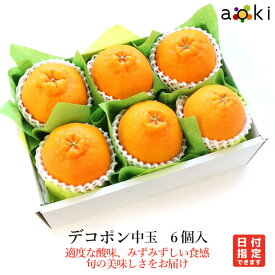 デコポン中玉　6個入アオキフルーツマイスター厳選[デコポン]RT 送料込 果物 誕生日 プレゼント 御祝 内祝 結婚 御見舞 快気祝 御供 熨斗対応 のし対応 中元 夏ギフト